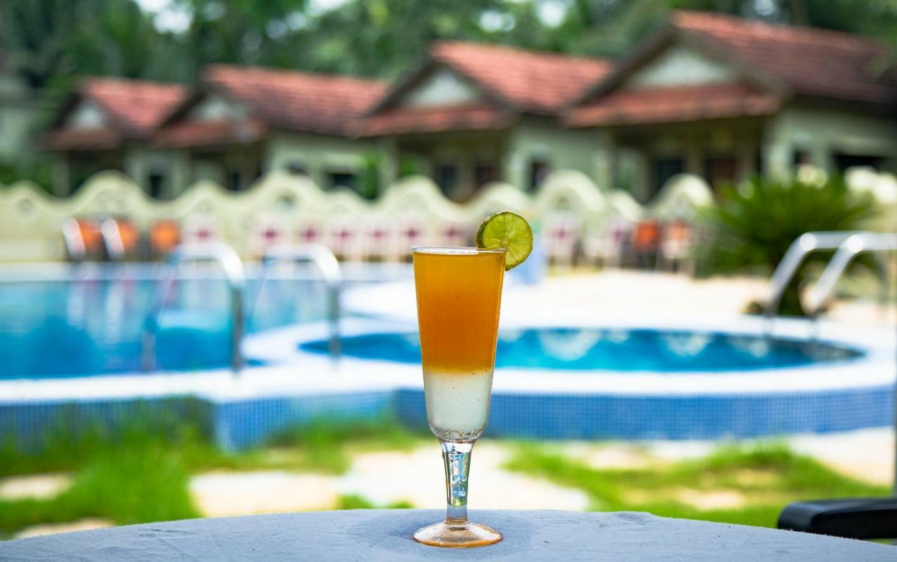 Breathing Earth - Rooms And Pool Kolkata Ngoại thất bức ảnh